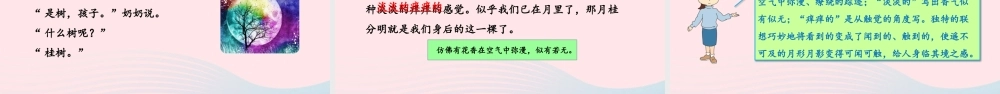 五年级语文上册 第七单元 24 月迹教学课件 新人教版-新人教版小学五年级上册语文课件