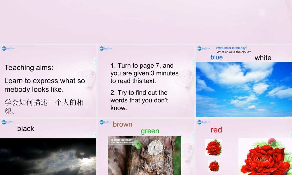 五年级英语上册《Lesson 3 What Do They Do》课件1 冀教版
