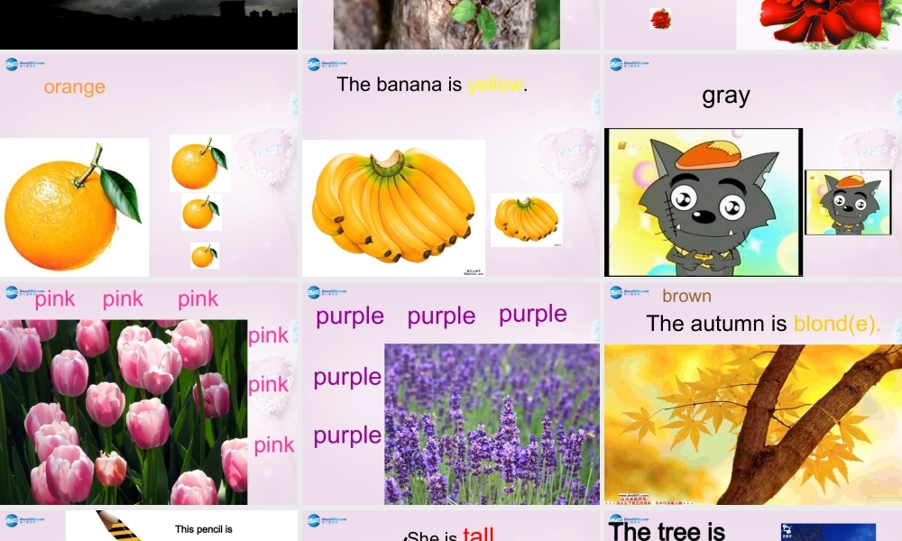 五年级英语上册《Lesson 3 What Do They Do》课件1 冀教版