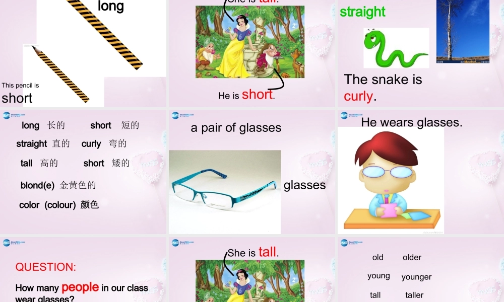 五年级英语上册《Lesson 3 What Do They Do》课件1 冀教版