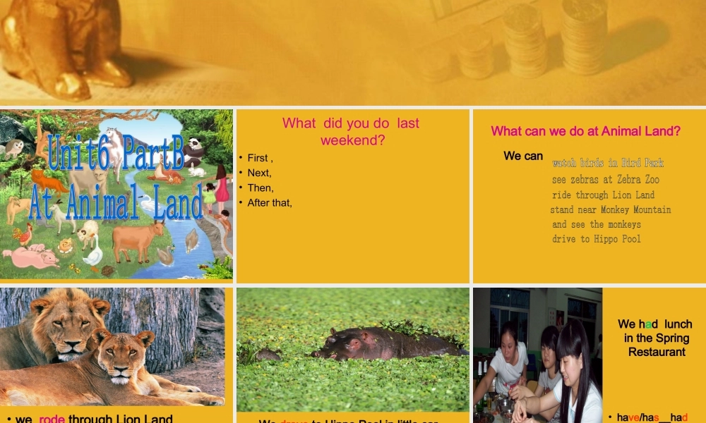 五年级英语上册 Unit 6 At animal land part课件 深港版