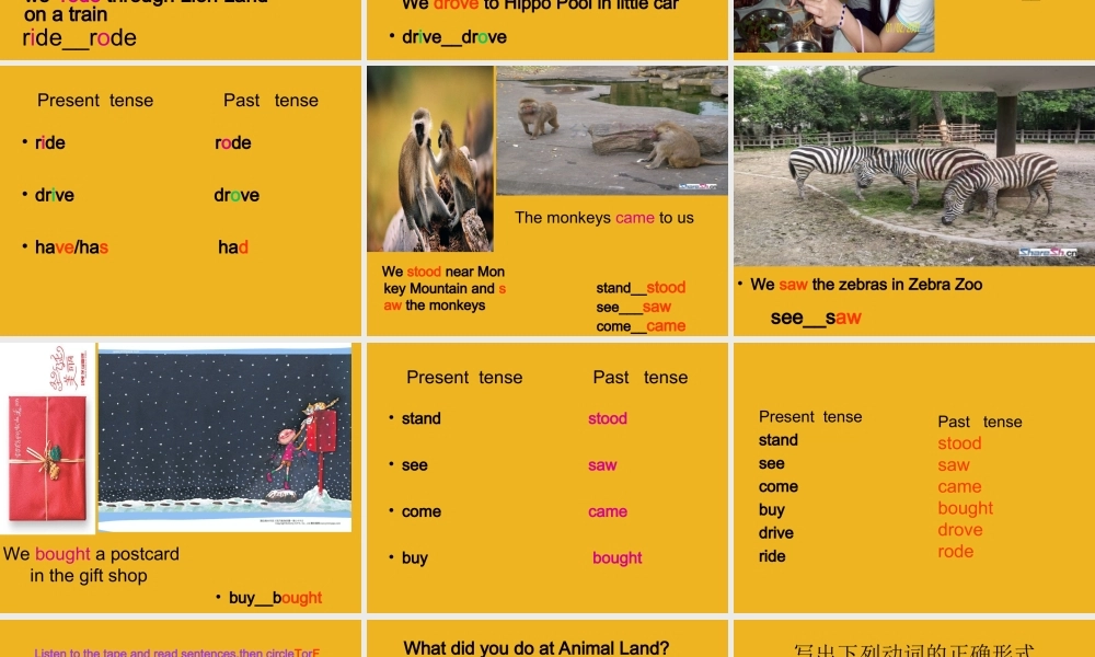 五年级英语上册 Unit 6 At animal land part课件 深港版