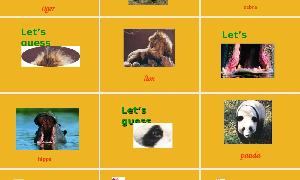 五年级英语上册 Unit 6 At Animal Land课件 深港版