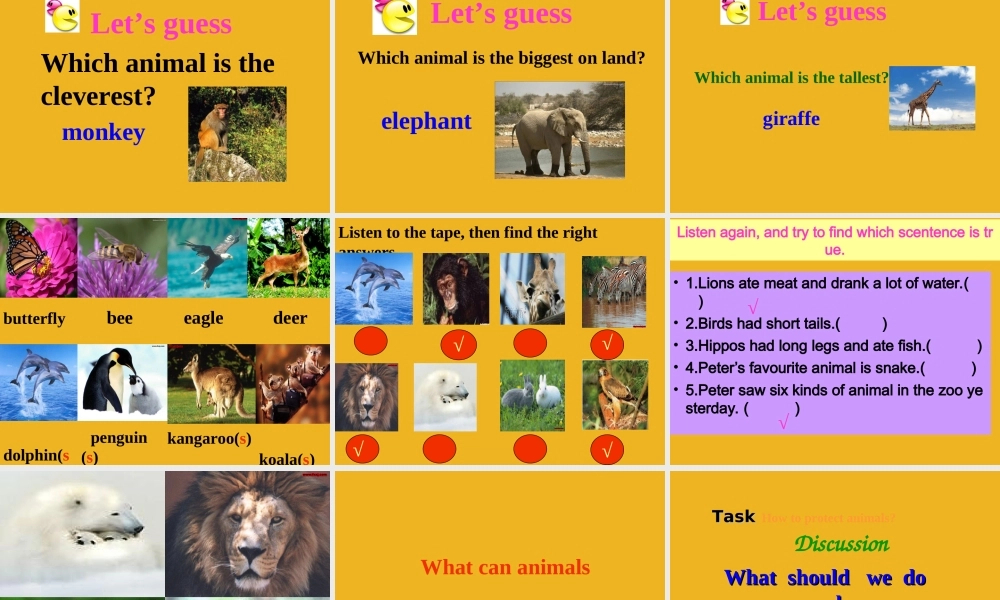 五年级英语上册 Unit 6 At Animal Land课件 深港版