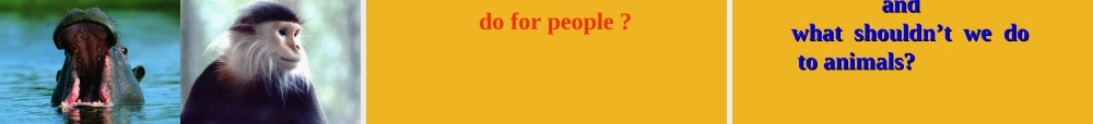 五年级英语上册 Unit 6 At Animal Land课件 深港版
