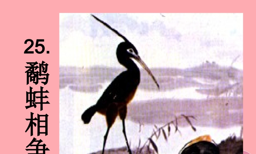 五年级语文上册 第七单元 鹬蚌相争课件1 西师大版-西师大版小学五年级上册语文课件