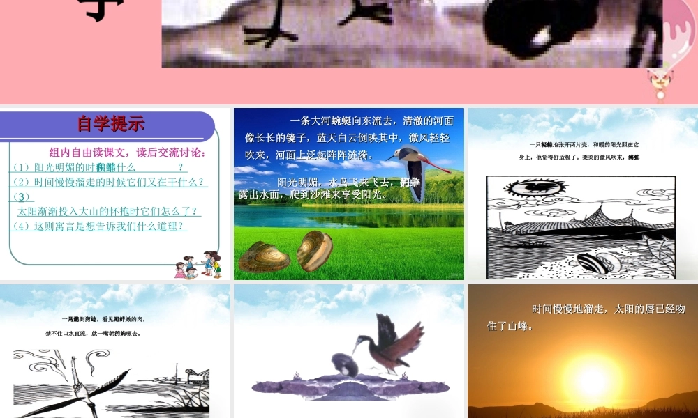 五年级语文上册 第七单元 鹬蚌相争课件1 西师大版-西师大版小学五年级上册语文课件