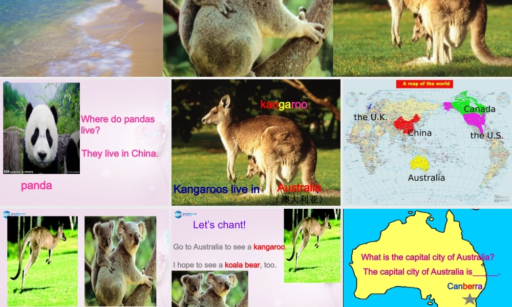 五年级英语上册《Lesson 11 Australia》课件1 冀教版