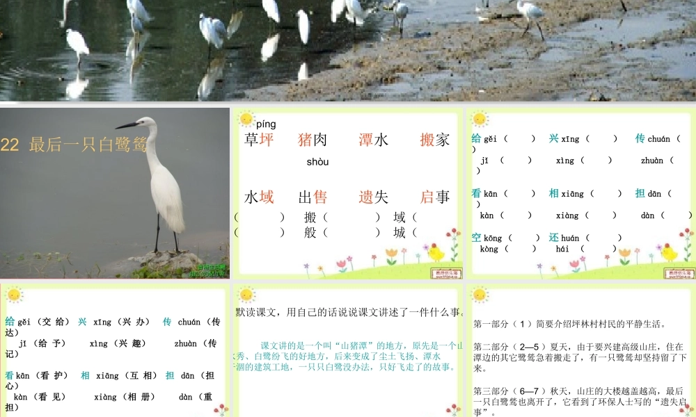 五年级语文上册 第七单元 最后一只白鹭鸶课件1 鄂教版-鄂教版小学五年级上册语文课件