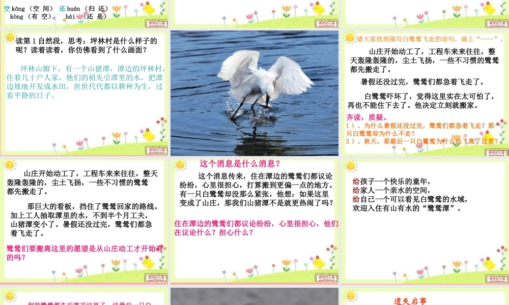 五年级语文上册 第七单元 最后一只白鹭鸶课件1 鄂教版-鄂教版小学五年级上册语文课件