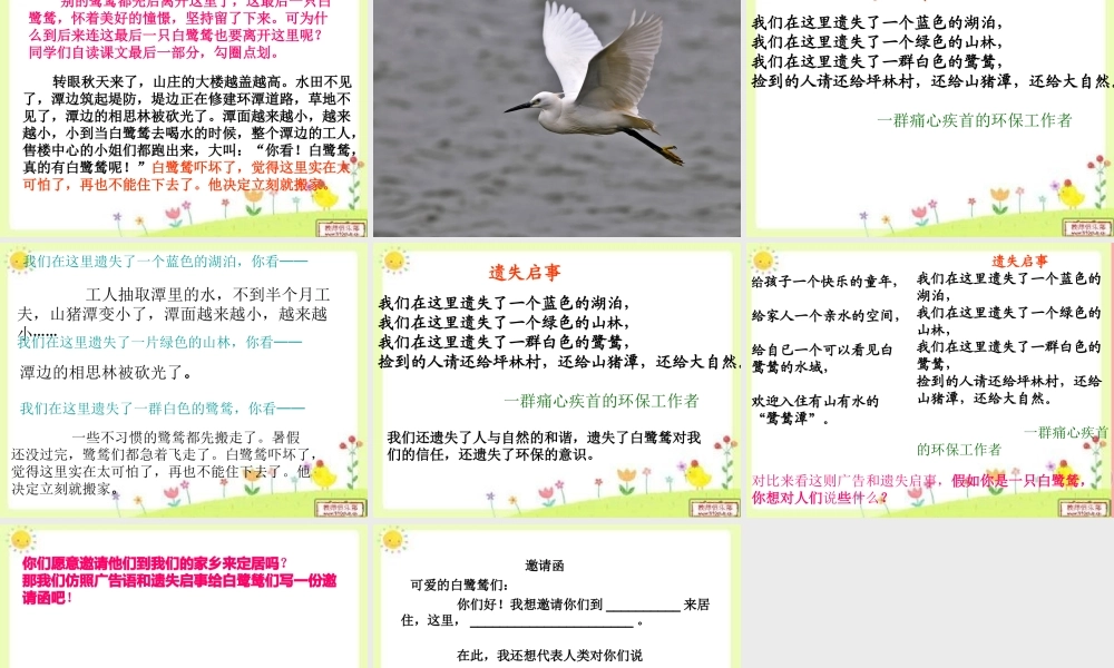 五年级语文上册 第七单元 最后一只白鹭鸶课件1 鄂教版-鄂教版小学五年级上册语文课件