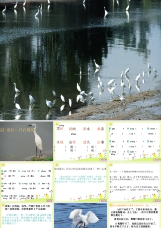五年级语文上册 第七单元 最后一只白鹭鸶课件1 鄂教版-鄂教版小学五年级上册语文课件