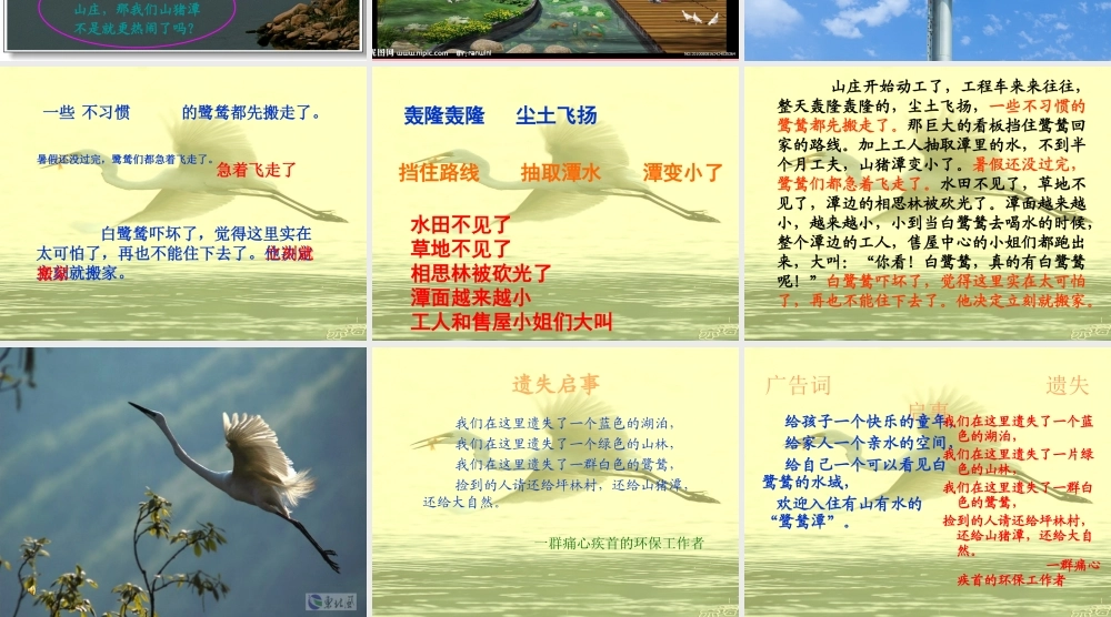 五年级语文上册 第七单元 最后一只白鹭鸶课件2 鄂教版-鄂教版小学五年级上册语文课件