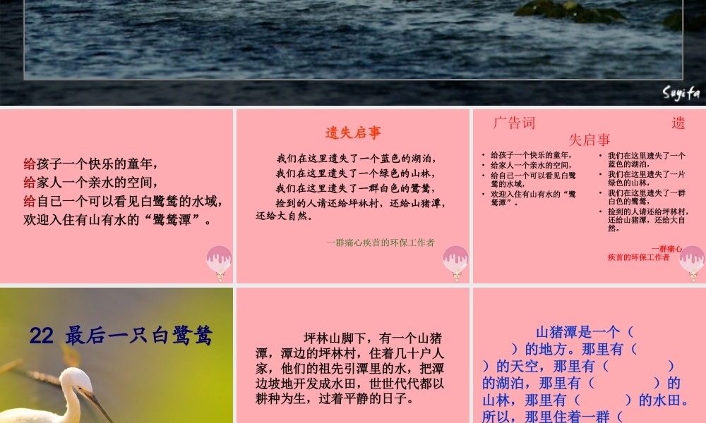 五年级语文上册 第七单元 最后一只白鹭鸶课件3 鄂教版-鄂教版小学五年级上册语文课件