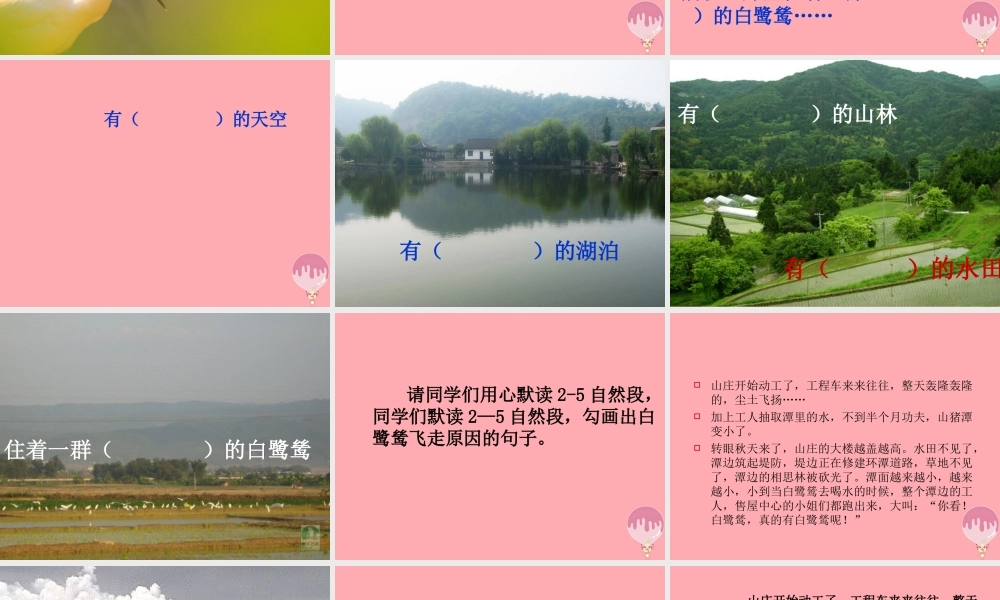 五年级语文上册 第七单元 最后一只白鹭鸶课件3 鄂教版-鄂教版小学五年级上册语文课件