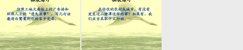 五年级语文上册 第七单元 最后一只白鹭鸶课件4 鄂教版-鄂教版小学五年级上册语文课件