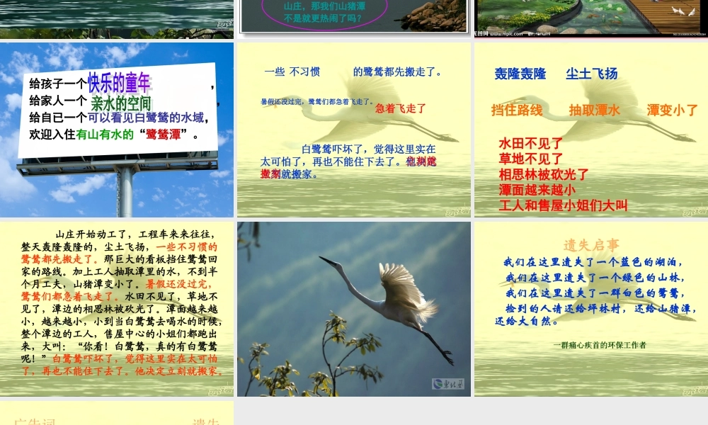 五年级语文上册 第七单元 最后一只白鹭鸶课件5 鄂教版-鄂教版小学五年级上册语文课件