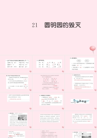 五年级语文上册 第七组 21 圆明园的毁灭习题课件 新人教版-新人教版小学五年级上册语文课件