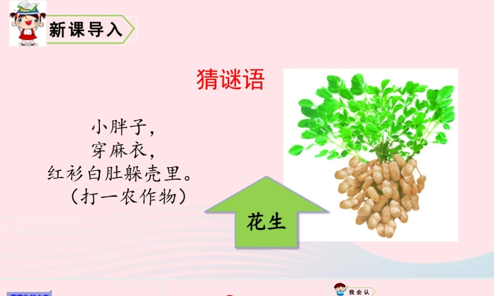 五年级语文上册 第一单元 2 落花生教学课件 新人教版-新人教版小学五年级上册语文课件