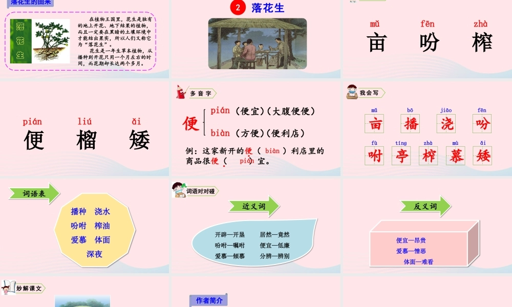 五年级语文上册 第一单元 2 落花生教学课件 新人教版-新人教版小学五年级上册语文课件