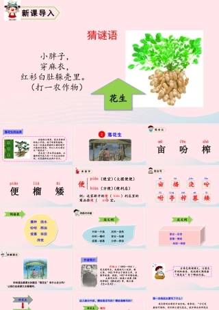五年级语文上册 第一单元 2 落花生教学课件 新人教版-新人教版小学五年级上册语文课件