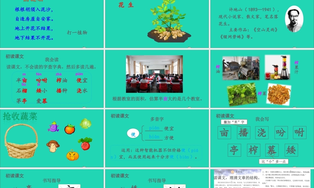 五年级语文上册 第一单元 2 落花生课件