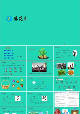 五年级语文上册 第一单元 2 落花生课件