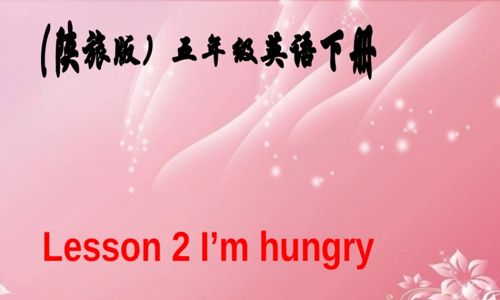 五年级英语下册 Lesson 2课件 陕旅版