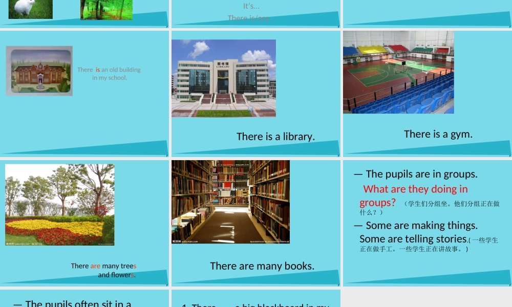 五年级英语上册 Unit 4 School in Canada练习课件 鲁科版-鲁科版小学五年级上册英语课件