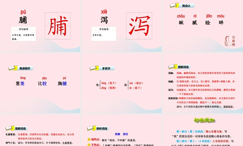 五年级语文上册 第一单元 2《珍珠鸟》 第1课时课件 冀教版-冀教版小学五年级上册语文课件