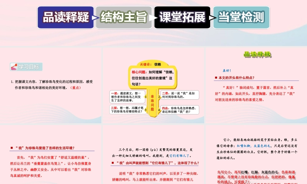 五年级语文上册 第一单元 2《珍珠鸟》 第2课时课件 冀教版-冀教版小学五年级上册语文课件