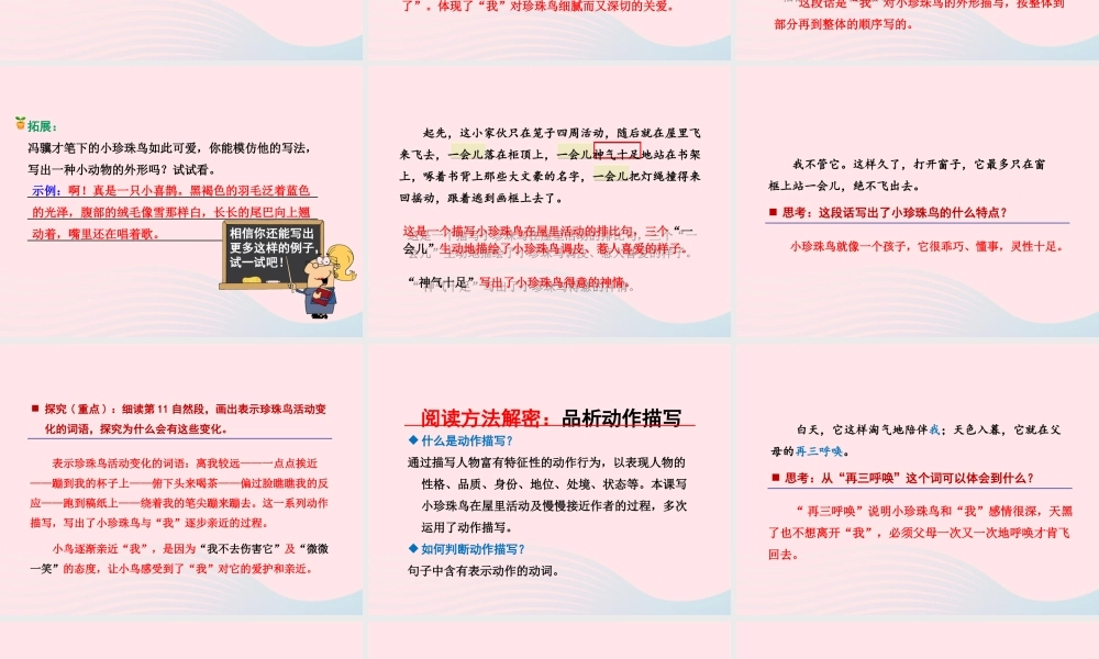五年级语文上册 第一单元 2《珍珠鸟》 第2课时课件 冀教版-冀教版小学五年级上册语文课件