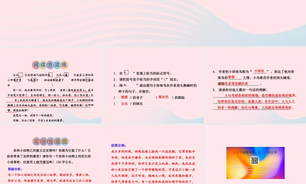 五年级语文上册 第一单元 2《珍珠鸟》 课后作业（A组）课件 冀教版-冀教版小学五年级上册语文课件