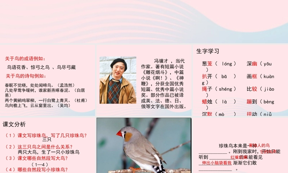 五年级语文上册 第一单元 2《珍珠鸟》参考课件 冀教版-冀教版小学五年级上册语文课件