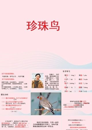 五年级语文上册 第一单元 2《珍珠鸟》参考课件 冀教版-冀教版小学五年级上册语文课件