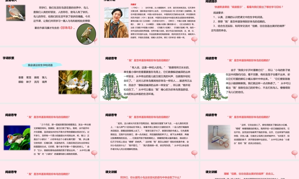 五年级语文上册 第一单元 2《珍珠鸟》教学课件 冀教版-冀教版小学五年级上册语文课件