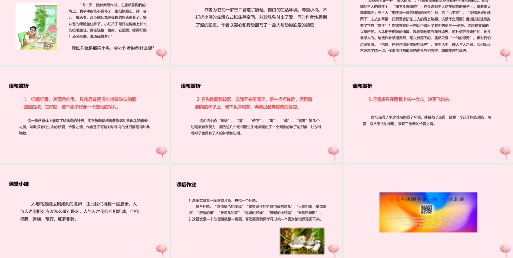 五年级语文上册 第一单元 2《珍珠鸟》教学课件 冀教版-冀教版小学五年级上册语文课件