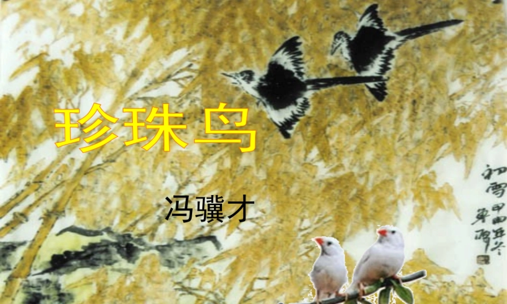 五年级语文上册 第一单元 2《珍珠鸟》教学课件参考 冀教版-冀教版小学五年级上册语文课件