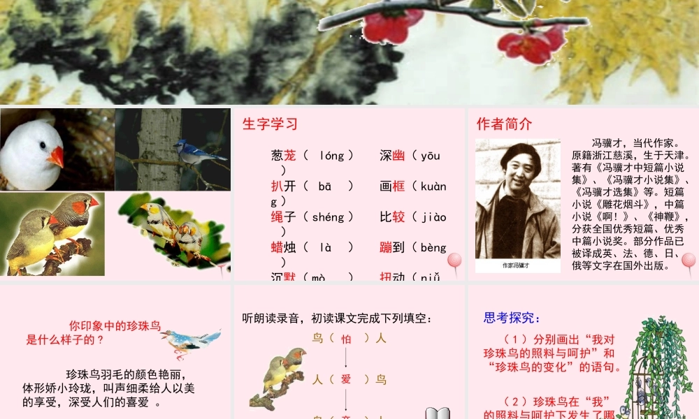 五年级语文上册 第一单元 2《珍珠鸟》教学课件参考 冀教版-冀教版小学五年级上册语文课件