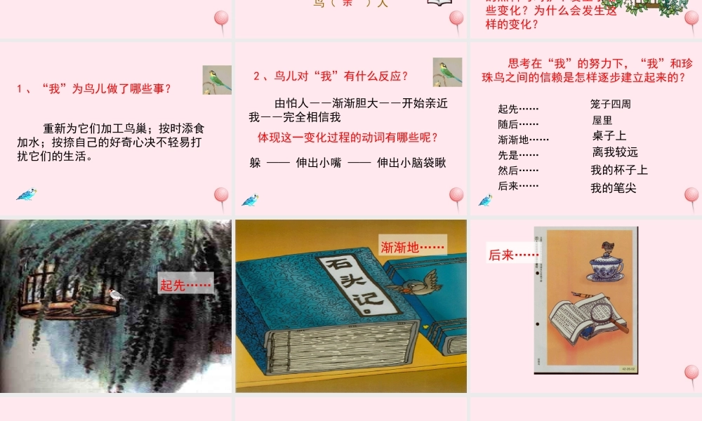 五年级语文上册 第一单元 2《珍珠鸟》教学课件参考 冀教版-冀教版小学五年级上册语文课件