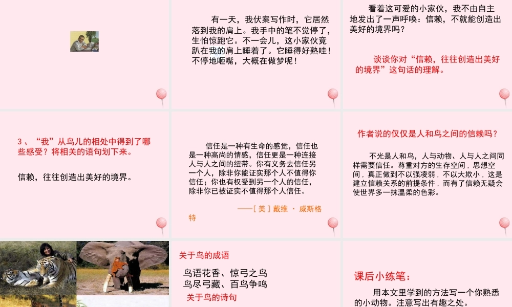 五年级语文上册 第一单元 2《珍珠鸟》教学课件参考 冀教版-冀教版小学五年级上册语文课件