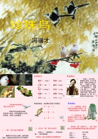 五年级语文上册 第一单元 2《珍珠鸟》教学课件参考 冀教版-冀教版小学五年级上册语文课件
