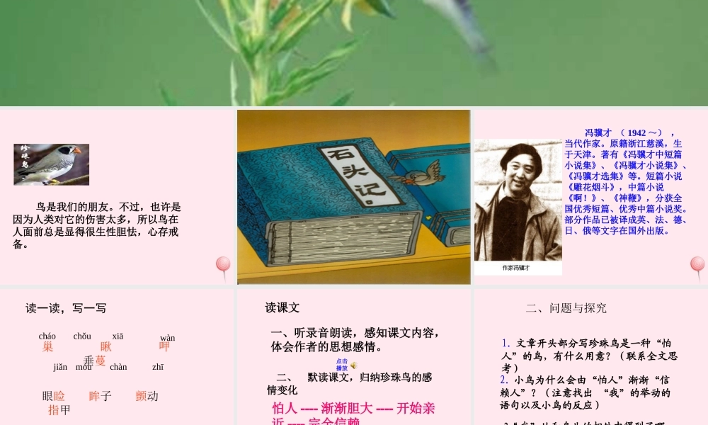 五年级语文上册 第一单元 2《珍珠鸟》同步教学课件 冀教版-冀教版小学五年级上册语文课件