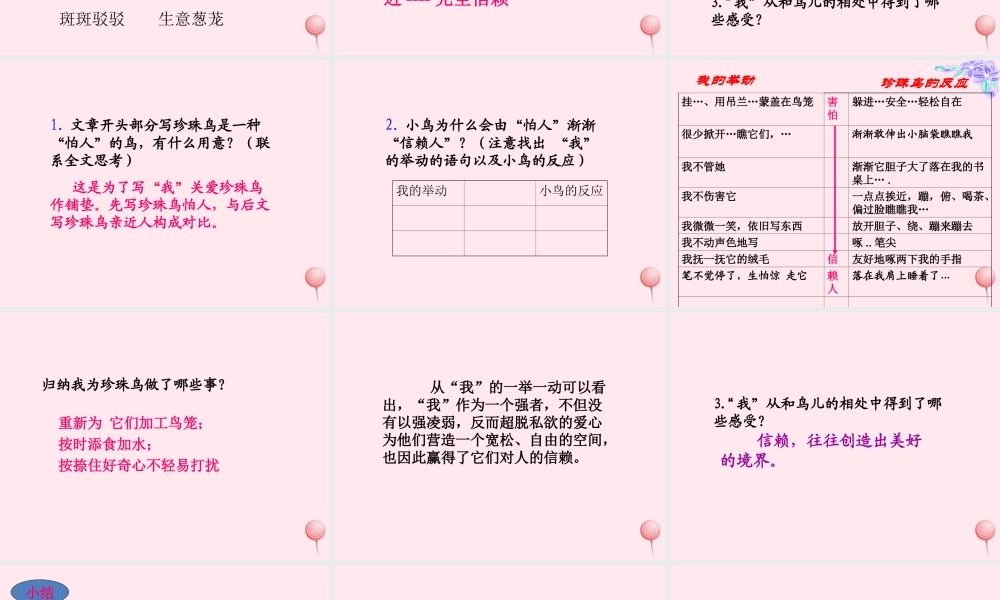 五年级语文上册 第一单元 2《珍珠鸟》同步教学课件 冀教版-冀教版小学五年级上册语文课件