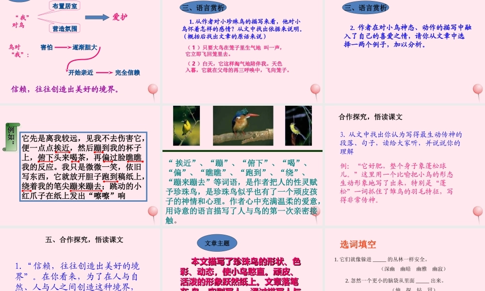 五年级语文上册 第一单元 2《珍珠鸟》同步教学课件 冀教版-冀教版小学五年级上册语文课件