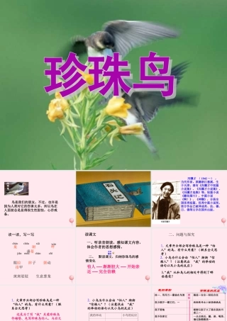 五年级语文上册 第一单元 2《珍珠鸟》同步教学课件 冀教版-冀教版小学五年级上册语文课件