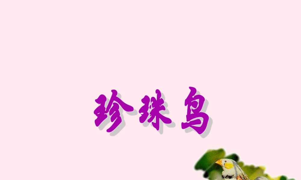 五年级语文上册 第一单元 2《珍珠鸟》同步精品课件 冀教版-冀教版小学五年级上册语文课件