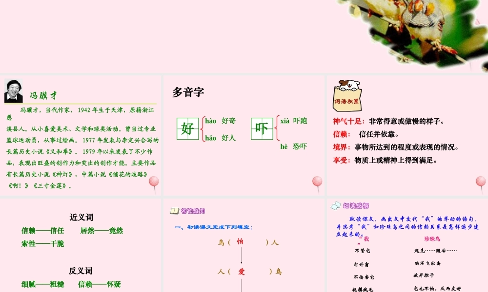 五年级语文上册 第一单元 2《珍珠鸟》同步精品课件 冀教版-冀教版小学五年级上册语文课件
