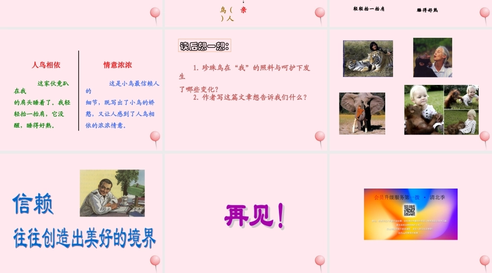 五年级语文上册 第一单元 2《珍珠鸟》同步精品课件 冀教版-冀教版小学五年级上册语文课件