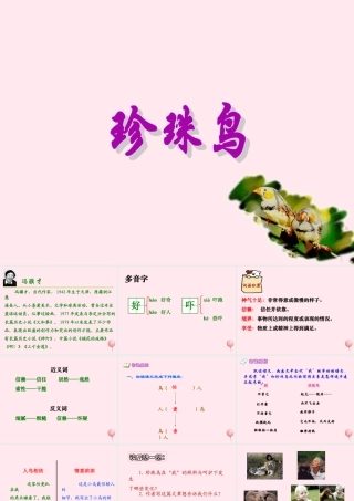 五年级语文上册 第一单元 2《珍珠鸟》同步精品课件 冀教版-冀教版小学五年级上册语文课件